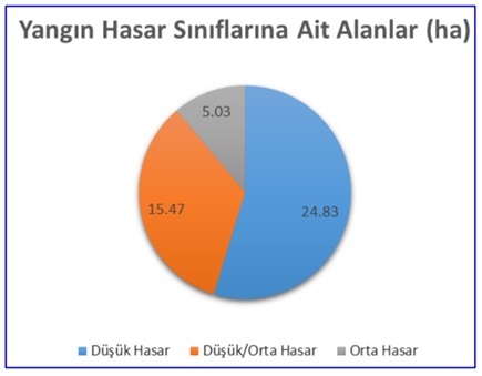 Harran Üniversitesi’nden Orman Yangınları ile İlgili Önemli Rapor