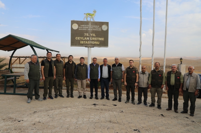 URFA CEYLANI EMİN ELLERDE