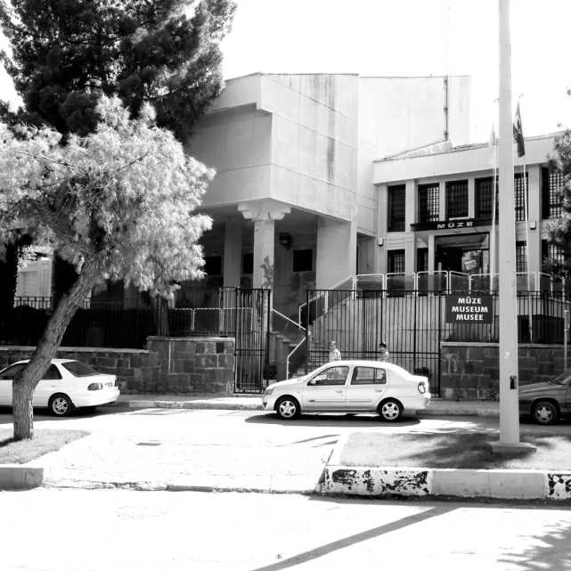 URFA GECELERİNDE YILDIZLAR