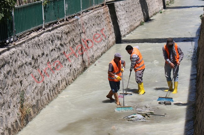 Büyükşehir'den derelerde temizlik seferberliği