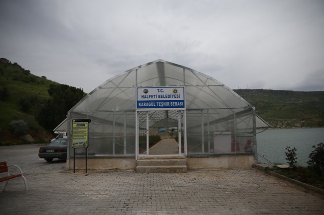 Halfeti'nin "karagülü" çiçek açtı