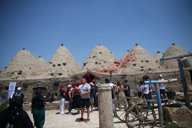 Urfa'da Ünlü şeflerden "sadeyağ"a tam not