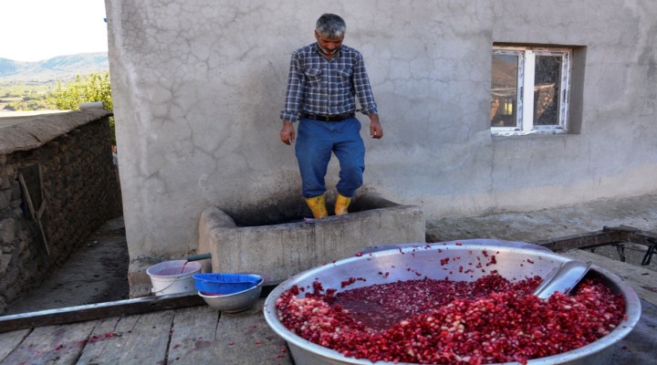Nar taneleri binbir zahmetle pekmeze dönüşüyor