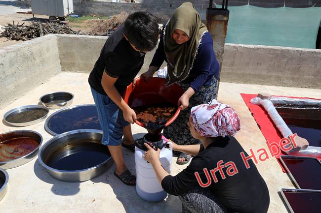 Urfa'da pekmez zamanı başladı