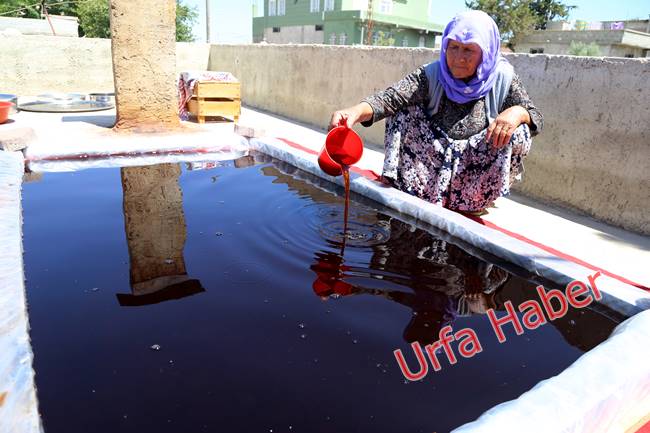 Urfa'da pekmez zamanı başladı