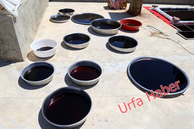 Urfa'da pekmez zamanı başladı