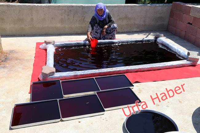 Urfa'da pekmez zamanı başladı