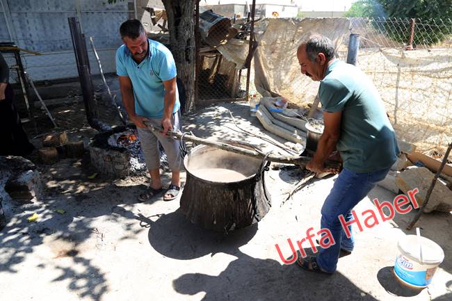 Urfa'da pekmez zamanı başladı