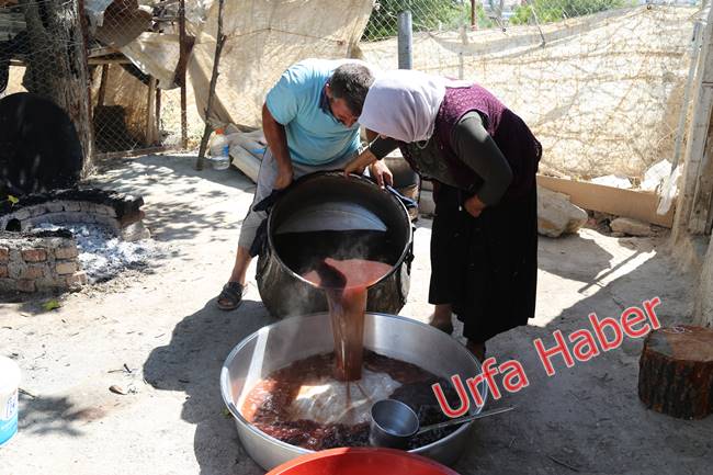 Urfa'da pekmez zamanı başladı