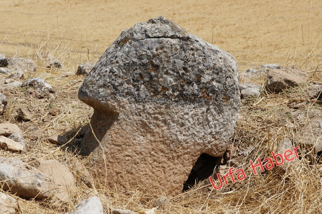 Göbeklitepe'den sonra Karahantepe heyecanı