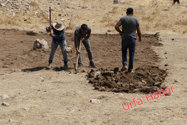 Göbeklitepe'den sonra Karahantepe heyecanı