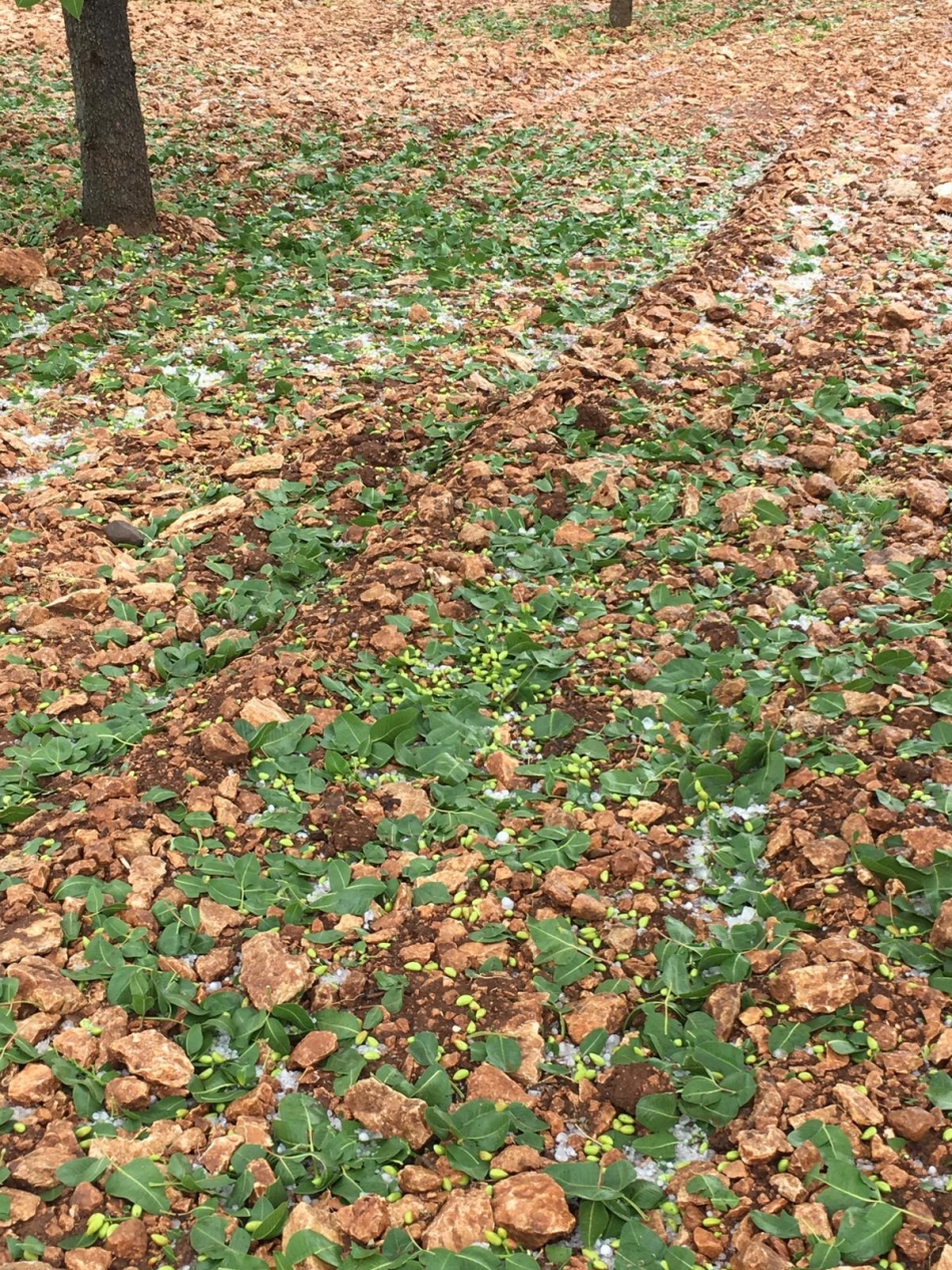Dolu Urfa'yı Fena Vurdu