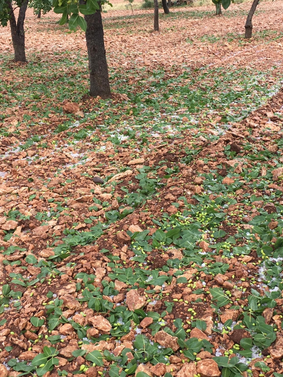 Dolu Urfa'yı Fena Vurdu