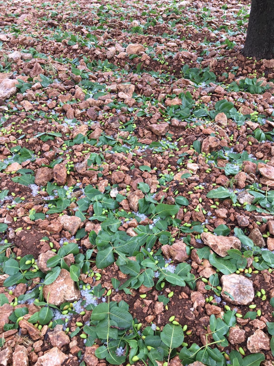 Dolu Urfa'yı Fena Vurdu