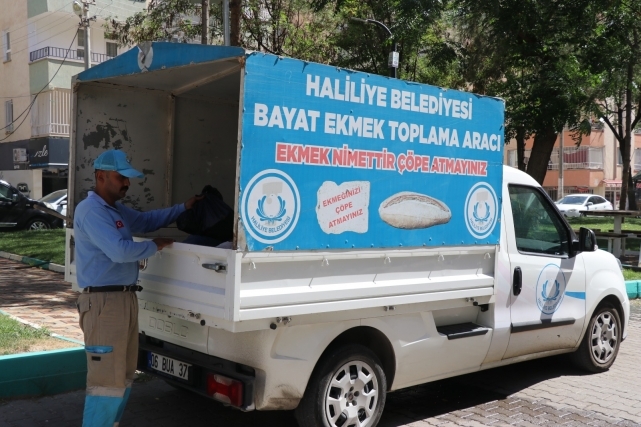 HALİLİYE'DEN TAKDİR TOPLAYAN UYGULAMA