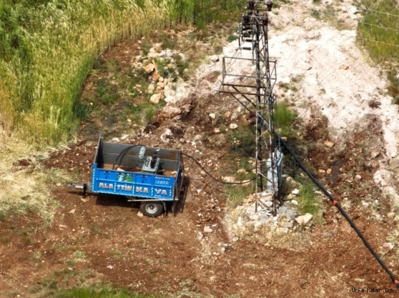 BİR ŞEHRE YETECEK ELEKTRİĞİ KAÇAK KULLANMIŞLAR