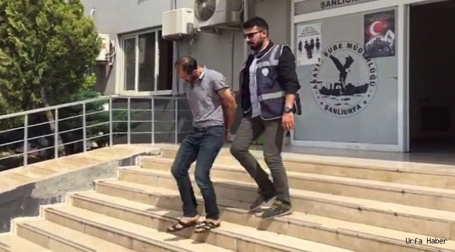 Hayvan hırsızı tutuklandı