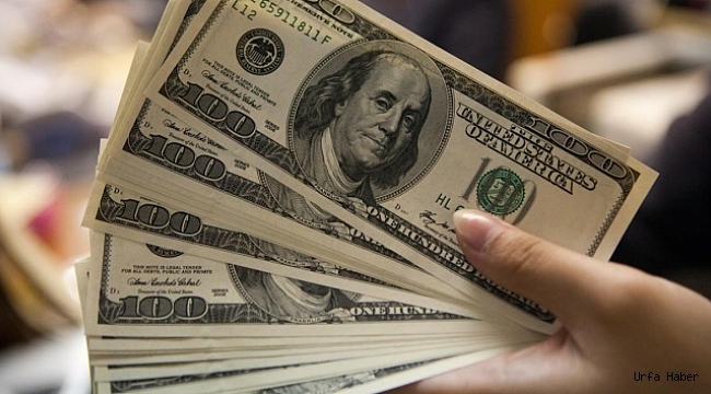 Merkez Bankası Dolar Tahmini Tutmadı