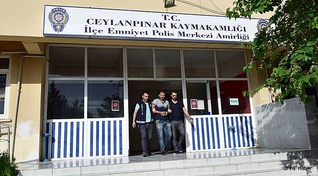 Şanlıurfa'da uyuşturucu operasyonu