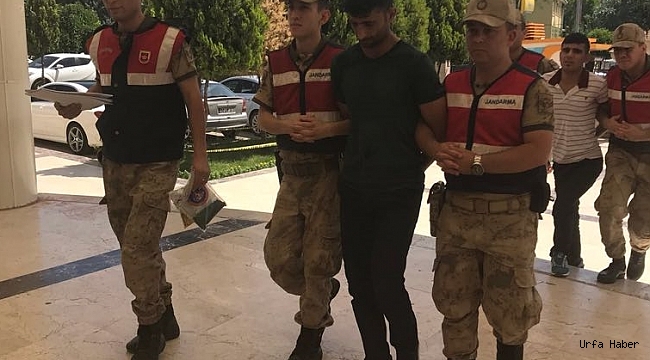 Şanlıurfa'da uyuşturucu operasyonu