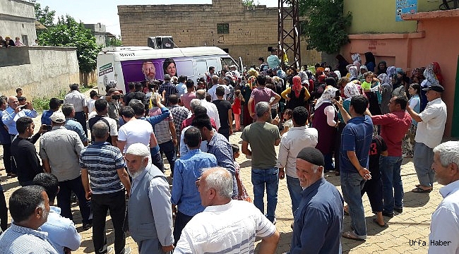 HDP Urfa’da son ana kadar çalışacak