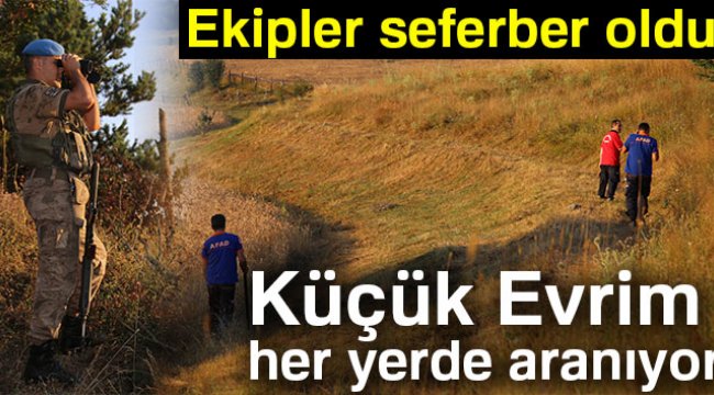 Yaylada kaybolan 3 yaşındaki Evrim için ekipler seferber oldu