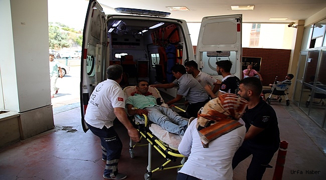 Şanlıurfa'da yolcu minibüsü devrildi: 14 yaralı