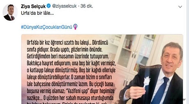 Bakanın paylaşımı Urfa'da gündeme oturdu