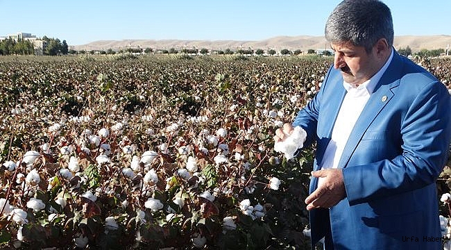 Eyüpoğlu'ndan Pamuk için fiyat uyarısı