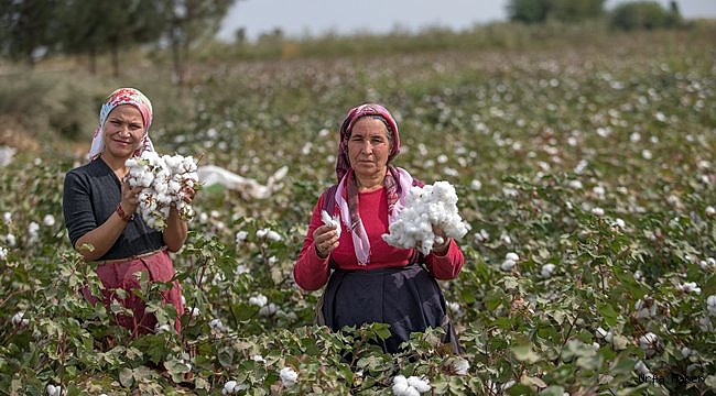 Örnek olacak gelin-kaynana dayanışması