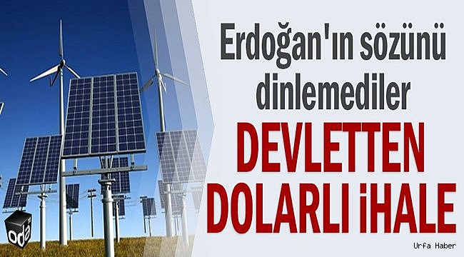 Urfa'da dolarlı ihale