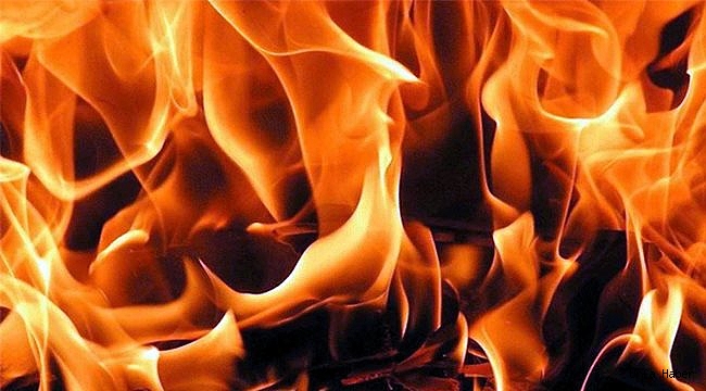Urfa'da ticari araç yandı