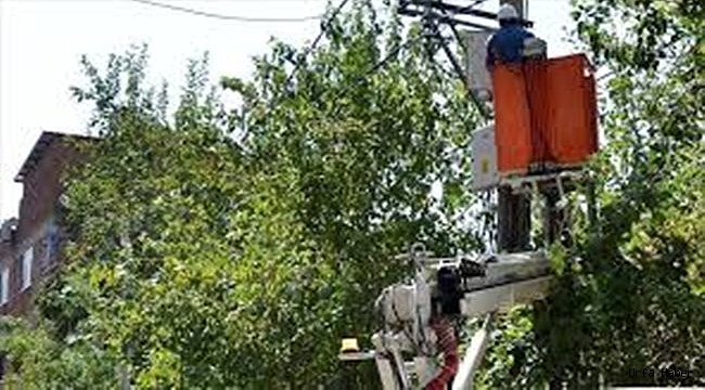 Dicle Elektrik'ten "Yüksekte Çalışma Eğitimi
