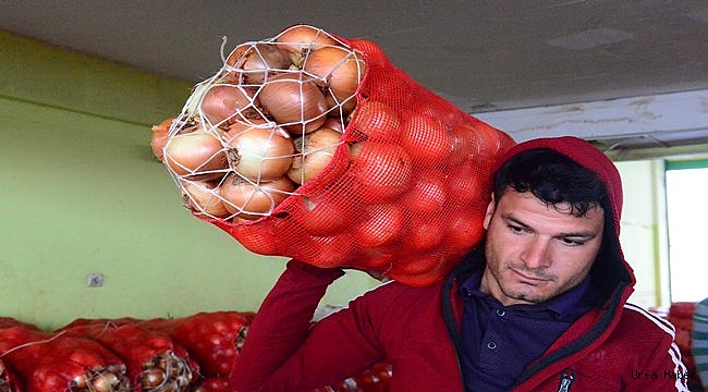 Spekülatörlerin soğandaki fiyat oyunu bozuldu