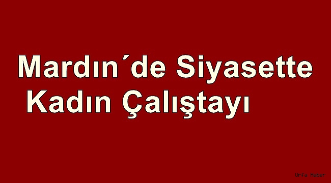 Mardin'de "Siyasette Kadın Çalıştayı