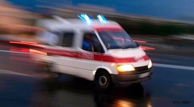 Soba Faciası; 3 kardeş evde ölü bulundu
