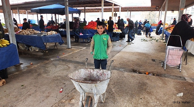 Fiyatlar ateş pahası: Eskiden 3-4 kilo alan şimdi 1 kilo alıyor