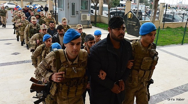 Şanlıurfa'daki terör operasyonu