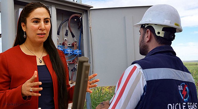 DEDAŞ sorunu bir kez daha Meclise taşındı