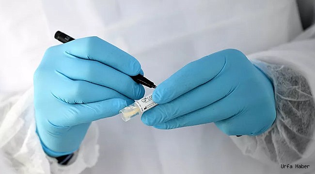 Koronavirüsün ilk kez cesetten bulaştığı tespit edildi