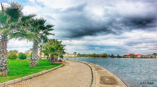 Harran Üniversitesi'ne İlgi Büyük