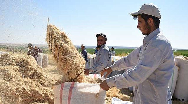 İşçiyken uçak mühendisi oldu