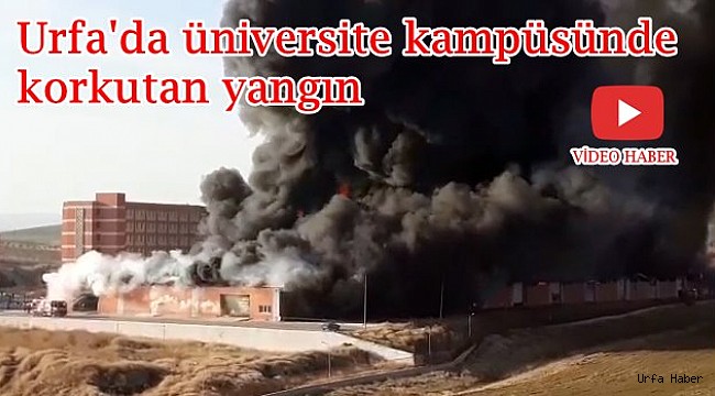 Urfa'da üniversite kampüsünde korkutan yangın