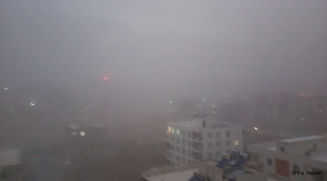 Şanlıurfa'da kum fırtınası hayatı felç etti