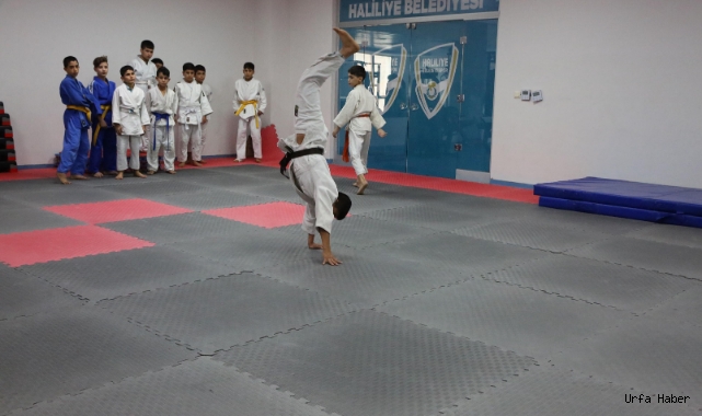 Haliliye Belediyesi judoda lisanslı sporcular yetiştiriyor