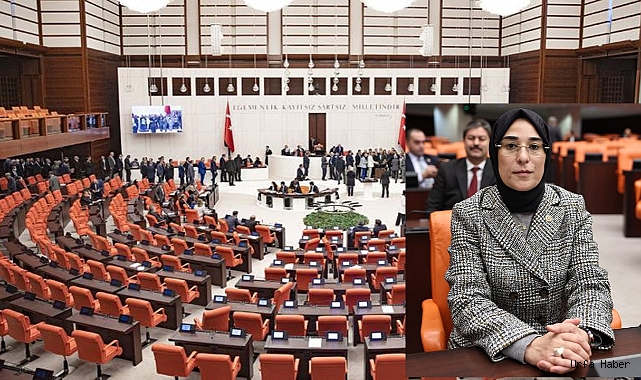MİLLETVEKİLİ YAZMACI TBMM'DE SÖZ ALARAK KINADI