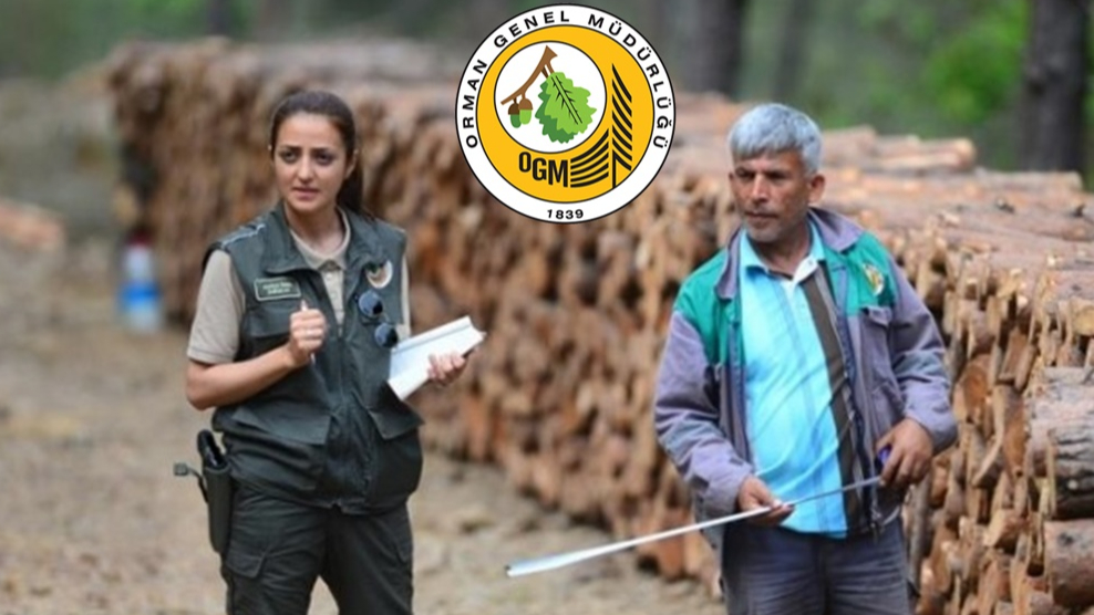 Orman Genel Müdürlüğü 4.500 İşçi Alacak!
