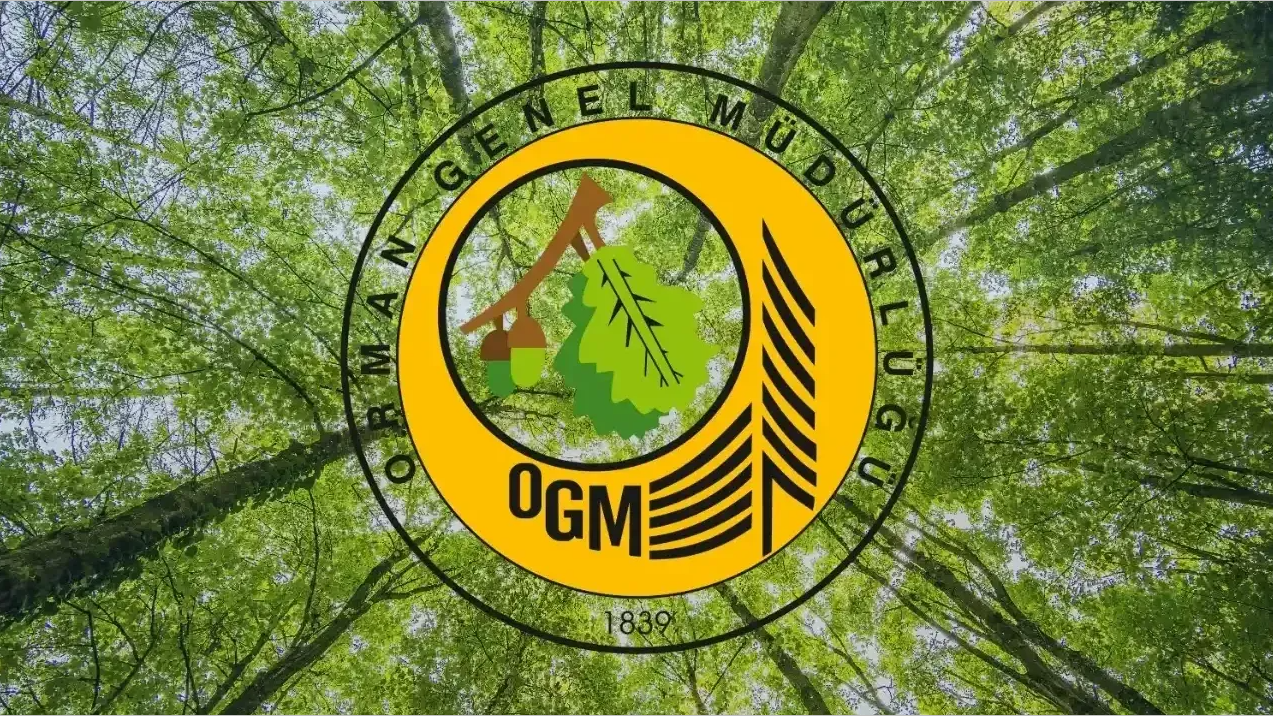 OGM Kura Sonuçları Açıklandı! İşte Duyurulan İller