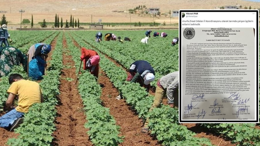 Tarım İşçilerine Yeni Ücret Düzenlemesi Yapıldı