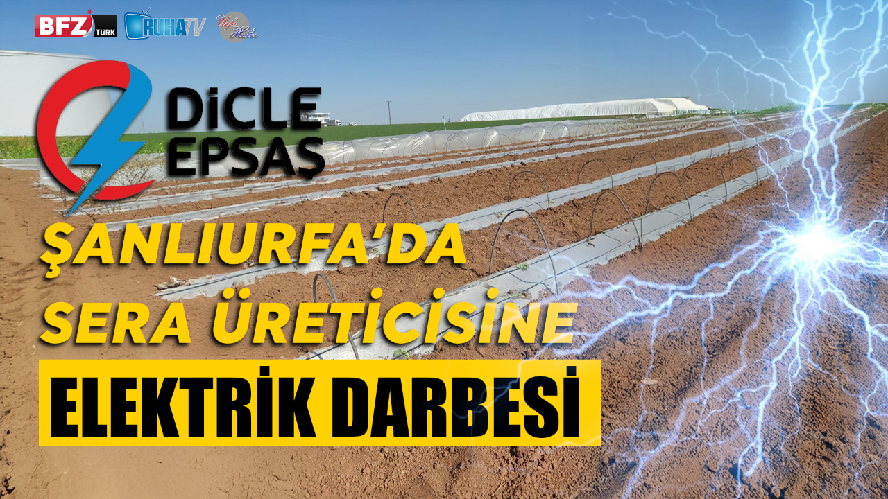 Şanlıurfa’da Sera Üreticisine Elektrik Darbesi